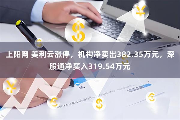 上阳网 美利云涨停，机构净卖出382.35万元，深股通净买入319.54万元