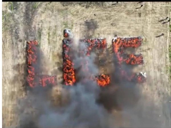 速盈策略 土耳其警方焚烧20吨大麻，2万居民意外“吸毒”，有人甚至因此出现幻觉