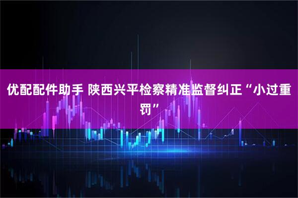 优配配件助手 陕西兴平检察精准监督纠正“小过重罚”