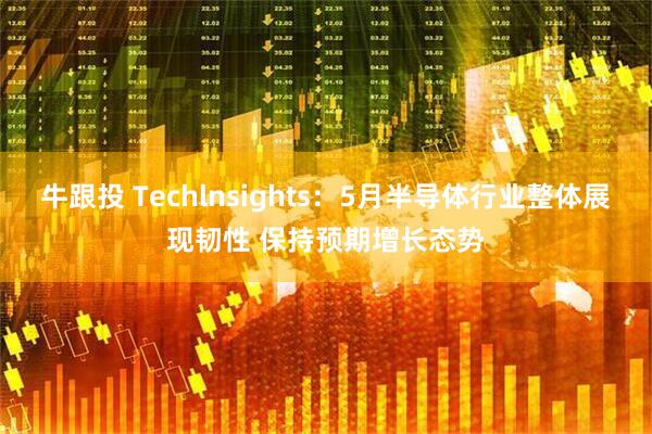 牛跟投 Techlnsights：5月半导体行业整体展现韧性 保持预期增长态势
