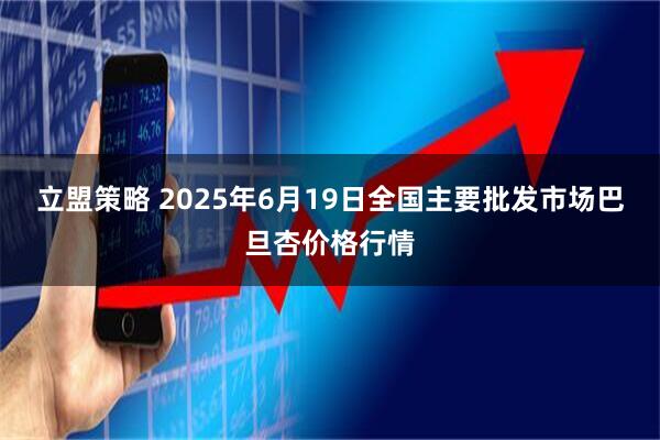 立盟策略 2025年6月19日全国主要批发市场巴旦杏价格行情