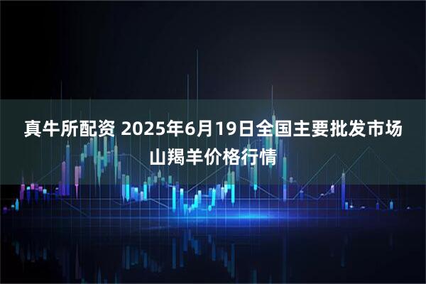 真牛所配资 2025年6月19日全国主要批发市场山羯羊价格行情